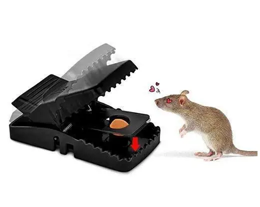 2Pcs- Mouse Killer Trap - Image 2