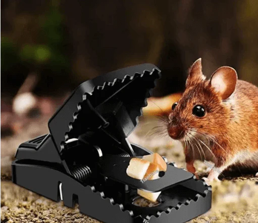 Mouse Killer Trap
